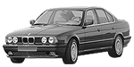 BMW E34 P0650 Fault Code